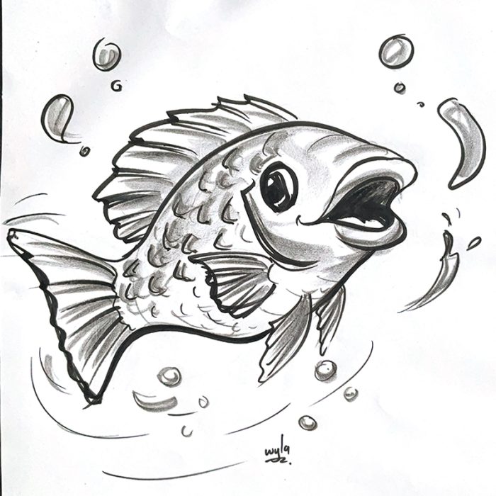 Fish