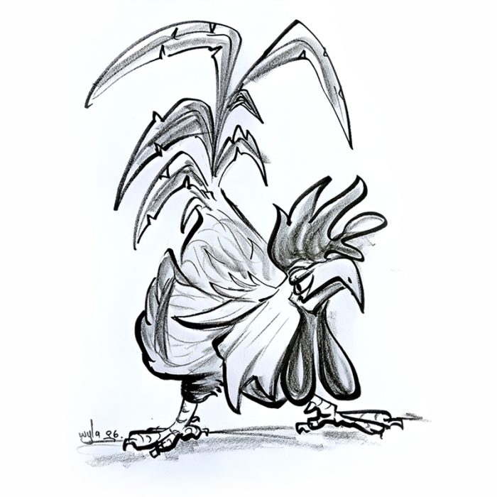 Chicken