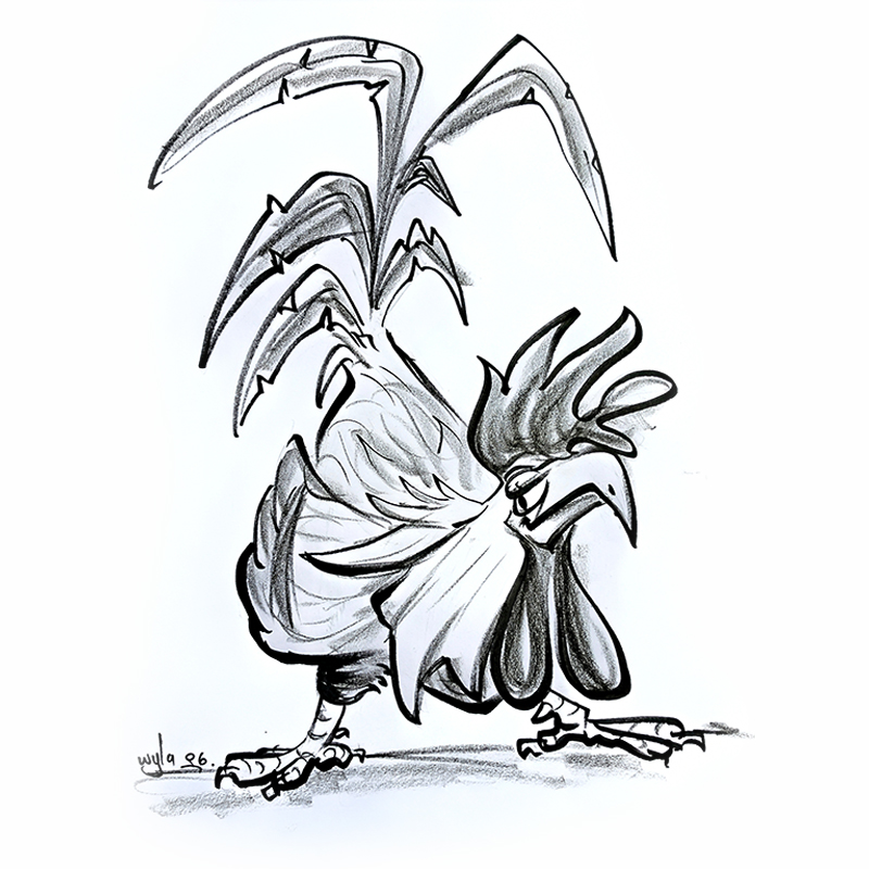 chicken
